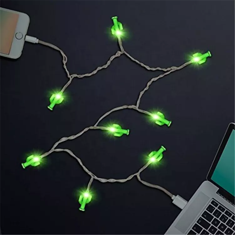 Cactus Charging Cord